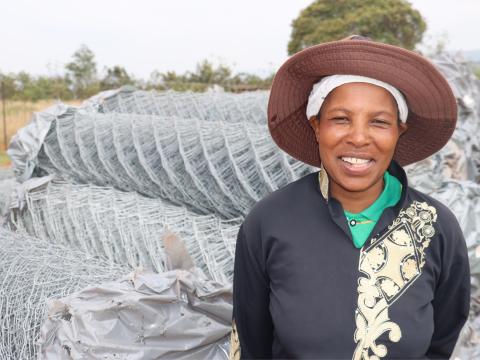 Backyard gardening, Eswatini