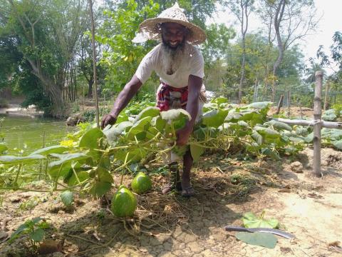 a man bending over some farm produce