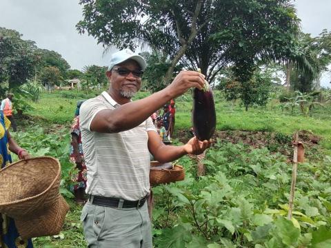 Os visitantes foram convidados a participarem da animada colheita de beringela da Escola de Campo em Buco Zau, e ficaram impressionados com a qualidade da produção, resultado de um solo fértil combinado com a execução das correctas práticas agrícolas que foram partilhadas pelos técnicos do projecto nos últimos meses.