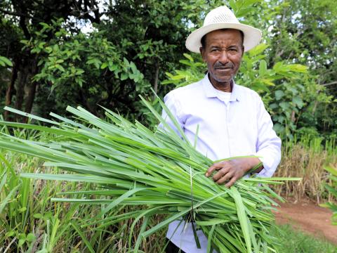 Semah in his farm holding cattle feed