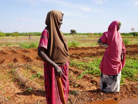 Some of the women farmers supported by World Vision in Doolow district, Gedo region. The floods of 2023 destroyed all their crops just before harvest, setting the farmers steps back. 