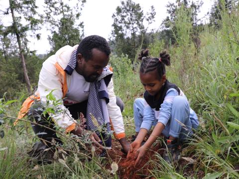 Hassenat Planting Tree