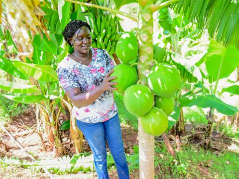 Through World Vision's CRIFSUP project, farmers like Nancy from Elgeyo Marakwet County can sustain themselves through use of low cost agricultural practices that ensure they sustain themselves and have ENOUGH food for their families.