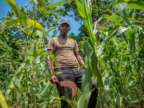 Jean Claude highlights the struggles of rural Haitian farmers amid unpredictable weather patterns.