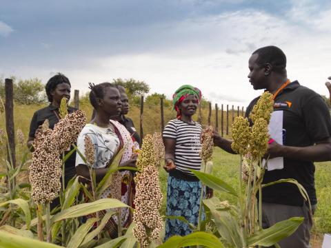 Climate-smart agriculture in South Sudan