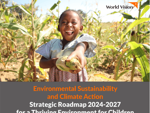 Environmental Sustainability and Climate Action (ESCA) Strategic Roadmap Executive Summary