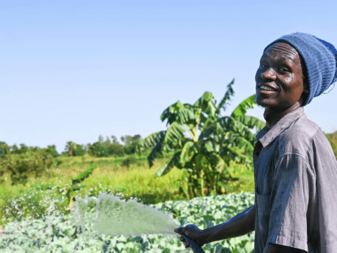 Man spraying water on plants