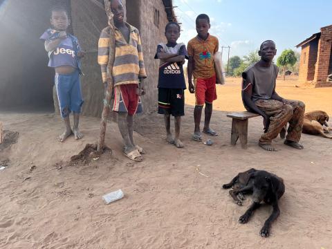 Most districts of Tete province are severely hit by the El Nino phenomenon, families are relying on bitter fruits alternatives to lack of food. 