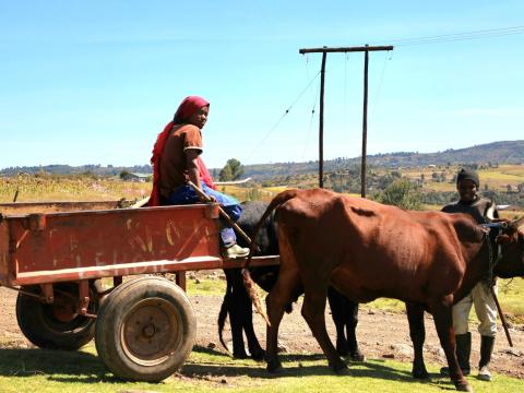 World Vision EU Funded Project