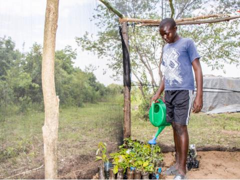 Gorrety's 14-year-old son, Ibrahim, watering their seedlings. 