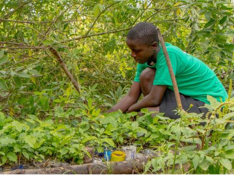 Elizabeth started a small tree nursery with over 150 seedlings. 