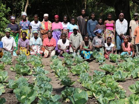 Farmers invest in climate resilient agriculture