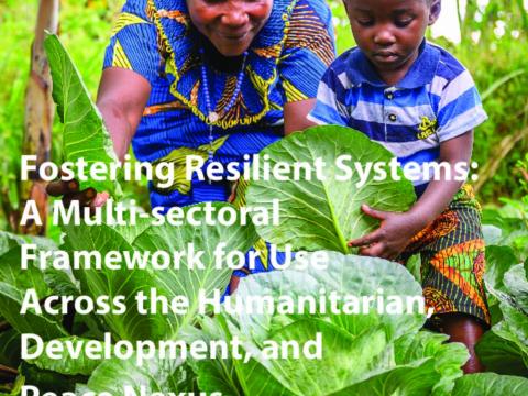 Fostering Resilient Systems WVUS Report