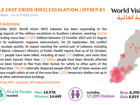 MIDDLE EAST CRISIS (MEC) ESCALATION | SITREP #3