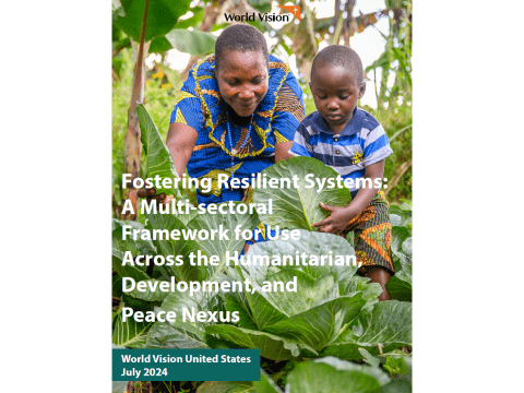 Fostering Resilient Systems