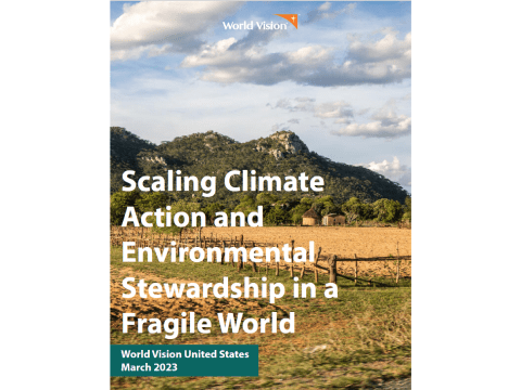 Scaling Climate Action and Environmental Stewardship in a Fragile World