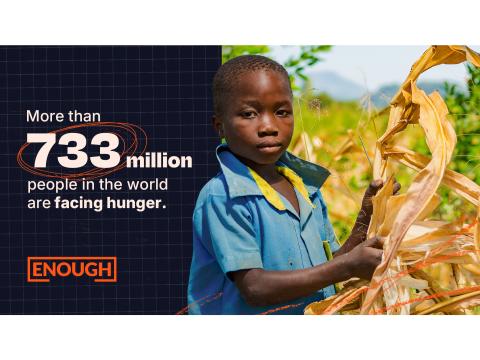 More than 733 million people in the world are facing hunger.