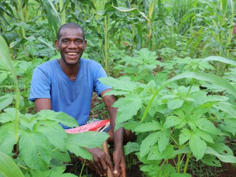 Mateteu, a farmer in Monapo, Mozambique, smiles proudly in his field of maize and sesame