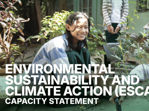 Environmental Sustainability & Climate Action in East Asia