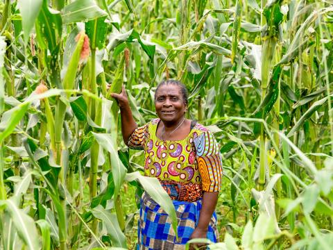 Matanda in her maize field