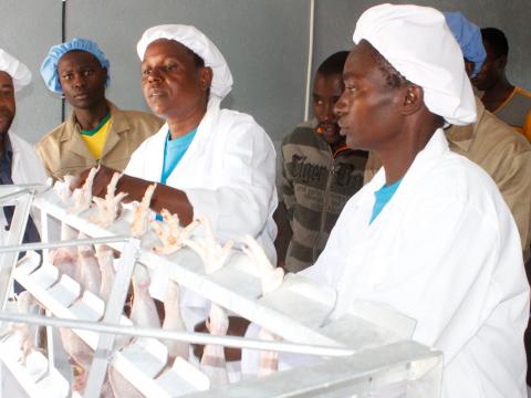 Materera Poultry Project members working in the recently commissioned abattoir in Chihota