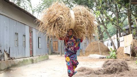 To improve nutrition of 20,000 smallholder male and female farmers