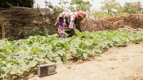 CTA and EU Project Accelerating agriculture in Mali