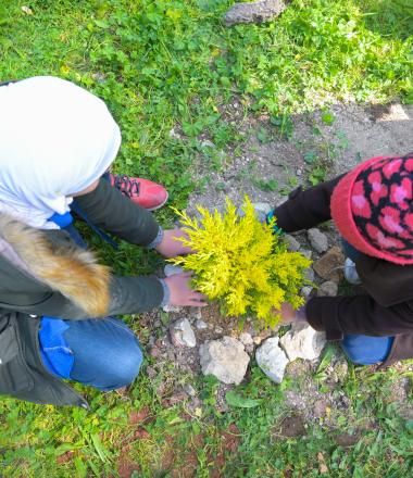 two girls planting a tree