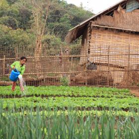 Building Secure Livelihoods | Laos | World Vision International